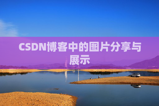 CSDN博客中的图片分享与展示
